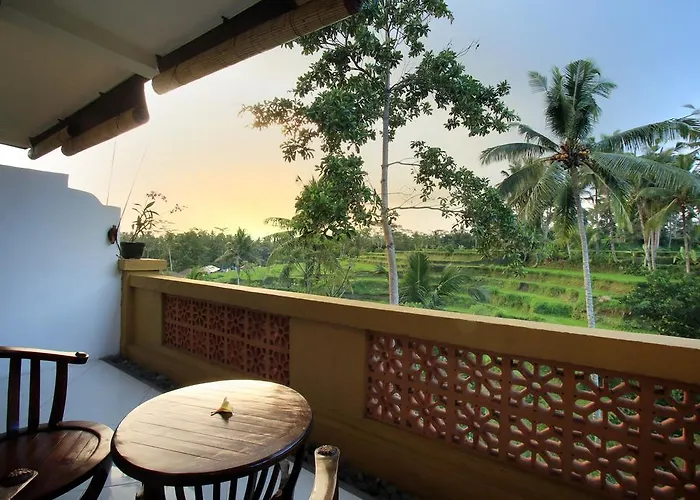 The Sunset House