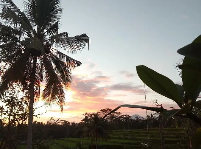 The Sunset House