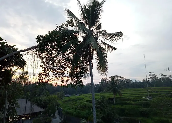 The Sunset House Ubud